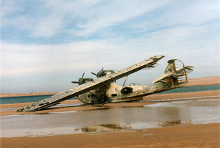 Illustration for article titled Abandoned Seaplane At Critical Intersection Of Planelopnik, Crash Week